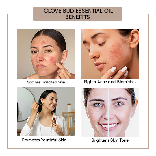 Clove Bud Essential Oil Benefits