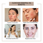 Clove Bud Essential Oil Benefits