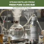 Clove Bud Essential Oil No Additives