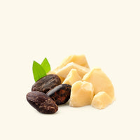 Cocoa Butter Fragrance Oil