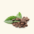 Coffee Fragrance Oil