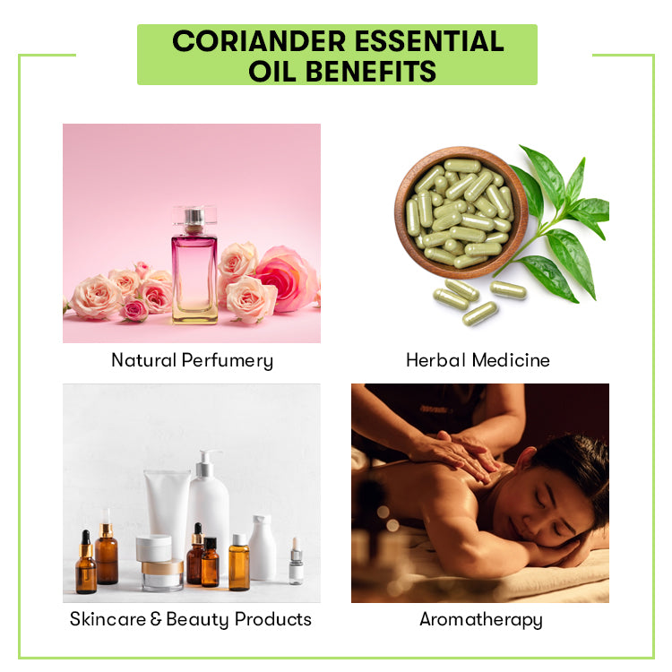 Coriander Essential Oil Benefits