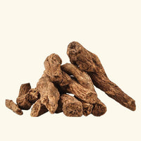 Costus Essential Oil