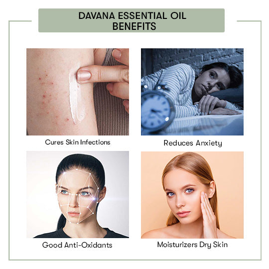 Davana Essential Oil Benefits