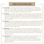 Dried Lotus Flower Uses