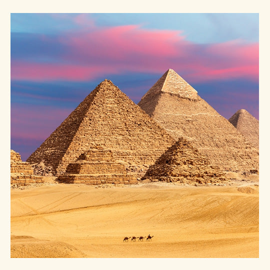 Egyptian Musk Fragrance Oil