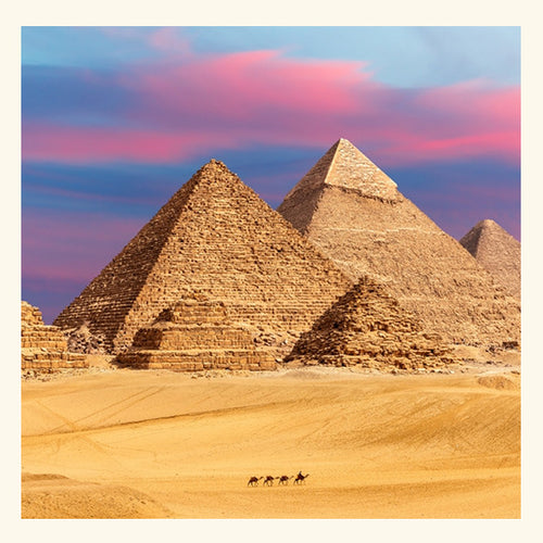 Egyptian Musk Fragrance Oil