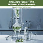 Eucalyptus Essential Oil