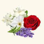 Floral Cover Fragrance Oil