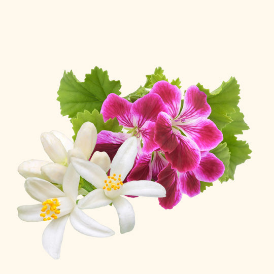 Floral Relief Essential Oil Blend