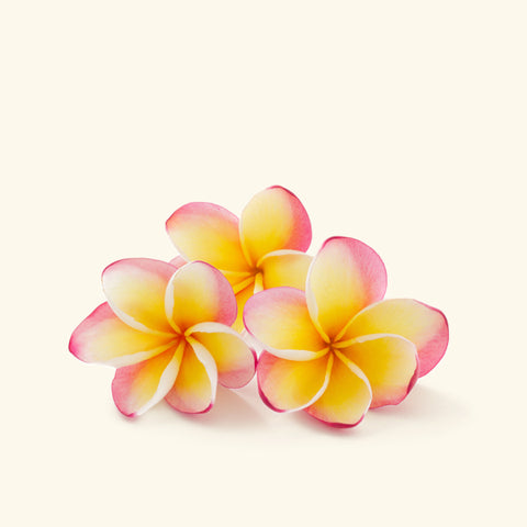 Frangipani Fragrance Oil