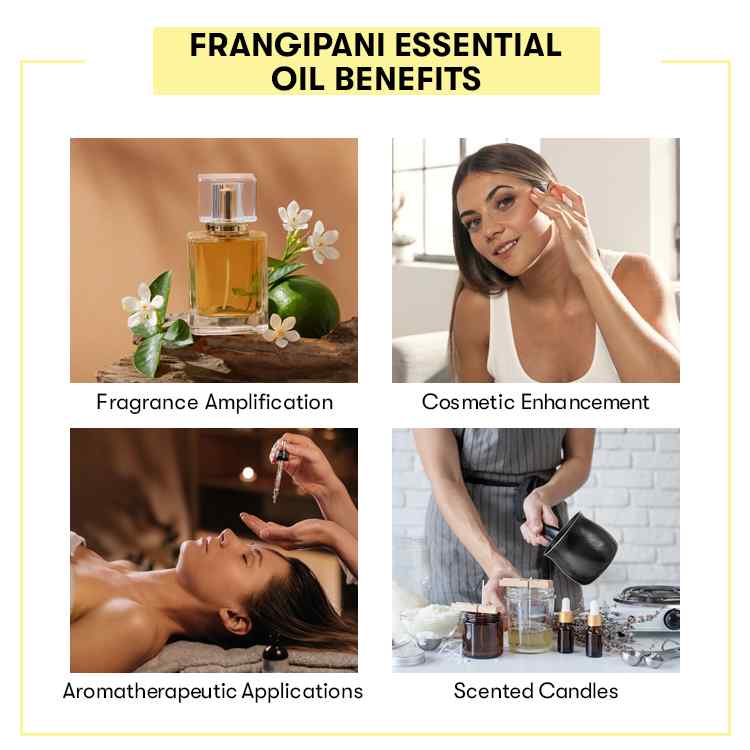 Frangipani Essential Oil Benefits
