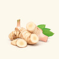 Galangal Essential Oil
