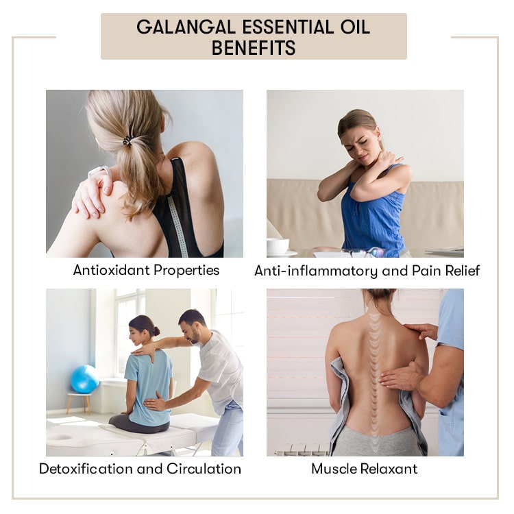 Galangal Essential Oil Benefits