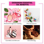 Geranium-Essential-Oil-Benefits