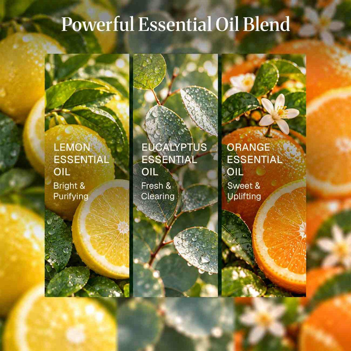 Germ Fighter Essential Oil Blend powerful blend