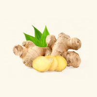 Ginger Flavor Oil