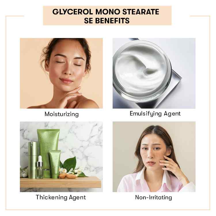 Glycerol Mono Stearate SE Benefits