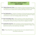 Gotu-Kola-Liquid-Extract