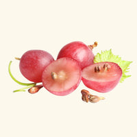 Grape Seed Liquid Extract