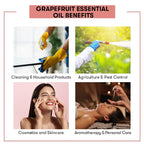 Grapefruit Essential Oil Uses Benefits