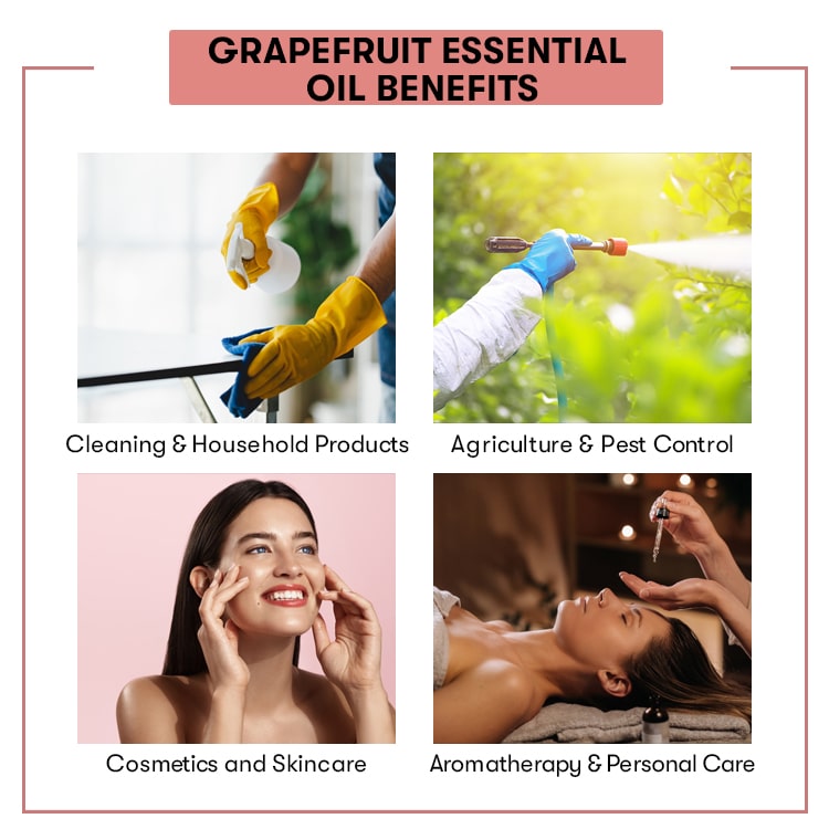 Grapefruit Essential Oil Uses Benefits