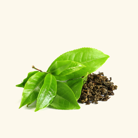 Green Tea Fragrance Oil