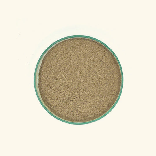 Guduchi Powder