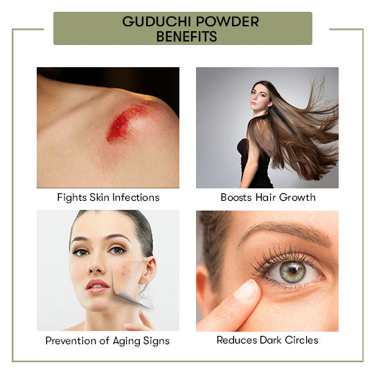 Guduchi Powder Benefits