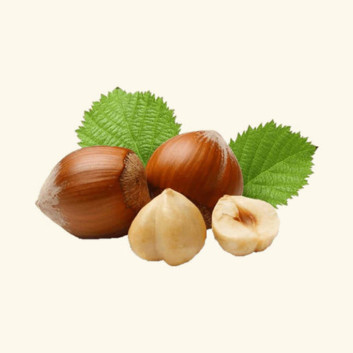 Hazelnut Flavor Oil