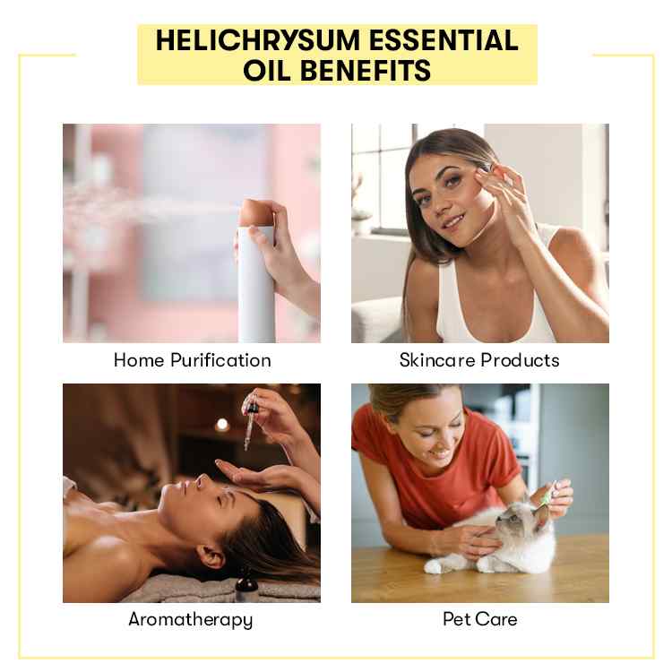 Helichrysum Essential Oil Benefits