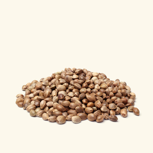 Hemp Seed Oil