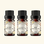 Herbaceous Essential Oils Set pack