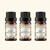 Herbaceous Essential Oils Set - Pack of 3 Oils