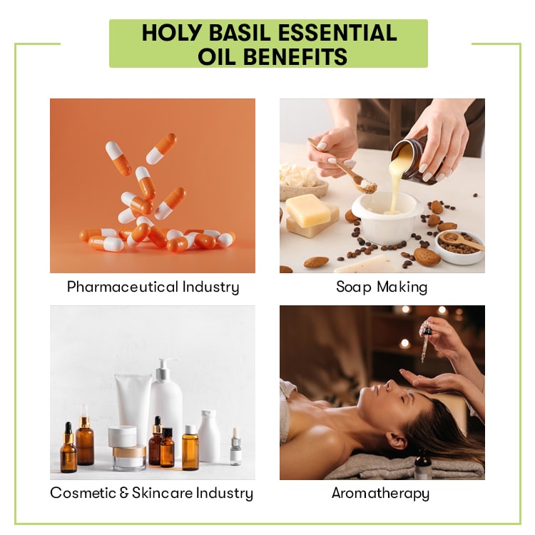 Holy-Basil-Essential-Oil-Benefits