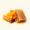 Honey Calendula Fragrance Oil