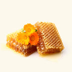 Honey Calendula Fragrance Oil