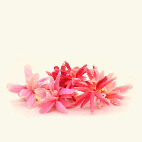 Honeysuckle Fragrance Oil