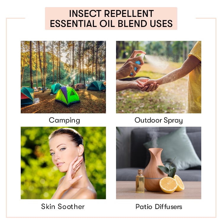 Insect Repellent Essential Oil Blend Uses