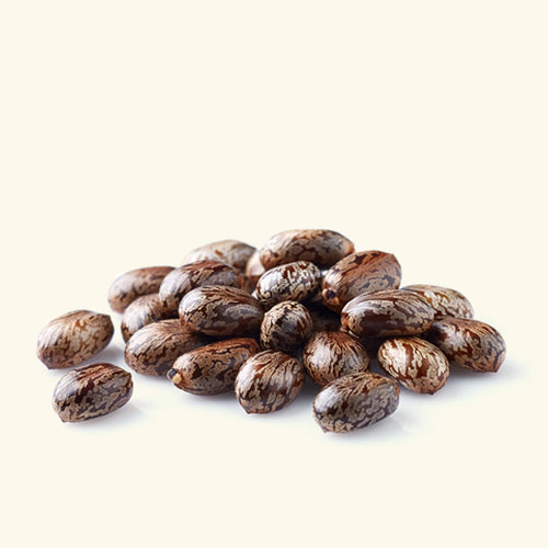Jamaican Black Castor Oil Online