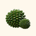 Kewra Essential Oil