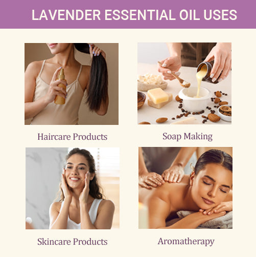 Lavender Oil Uses