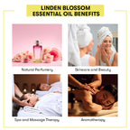 Linden Blossom Essential Oil Benefits