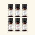 Lip Flavour Oil Sample Kit