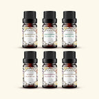 Lip Flavour Oil Sample Kit