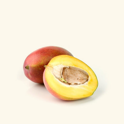 Mango Seed Oil