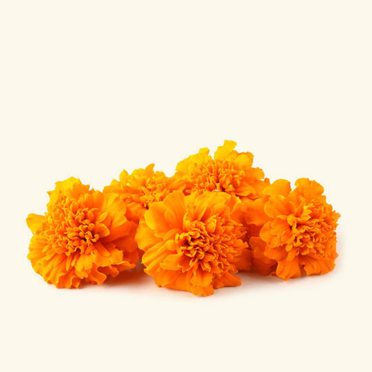 Marigold Fragrance Oil