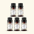 Masculine Fragrance Oils Sample Kit 
