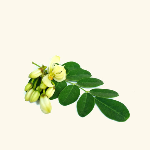 Moringa Oil