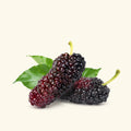Mulberry Liquid Extract